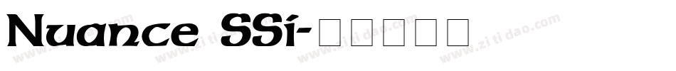 Nuance SSi字体转换